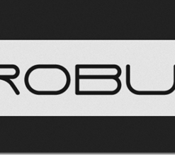 Robuxio Algorithmic Crypto Course down